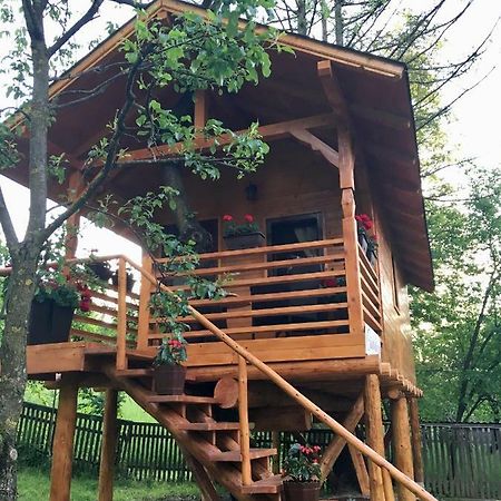 Domeniul Horj Casa Din Cires Moisei Villa Exteriör bild