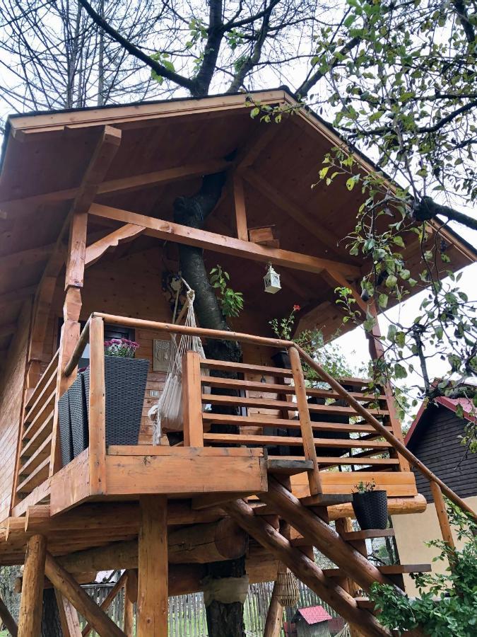 Domeniul Horj Casa Din Cires Moisei Villa Exteriör bild