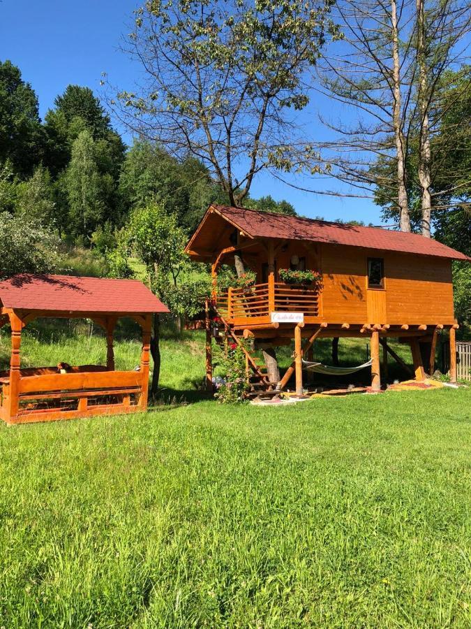 Domeniul Horj Casa Din Cires Moisei Villa Exteriör bild