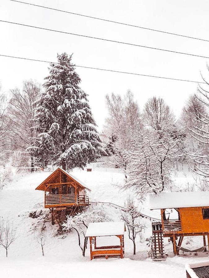 Domeniul Horj Casa Din Cires Moisei Villa Exteriör bild
