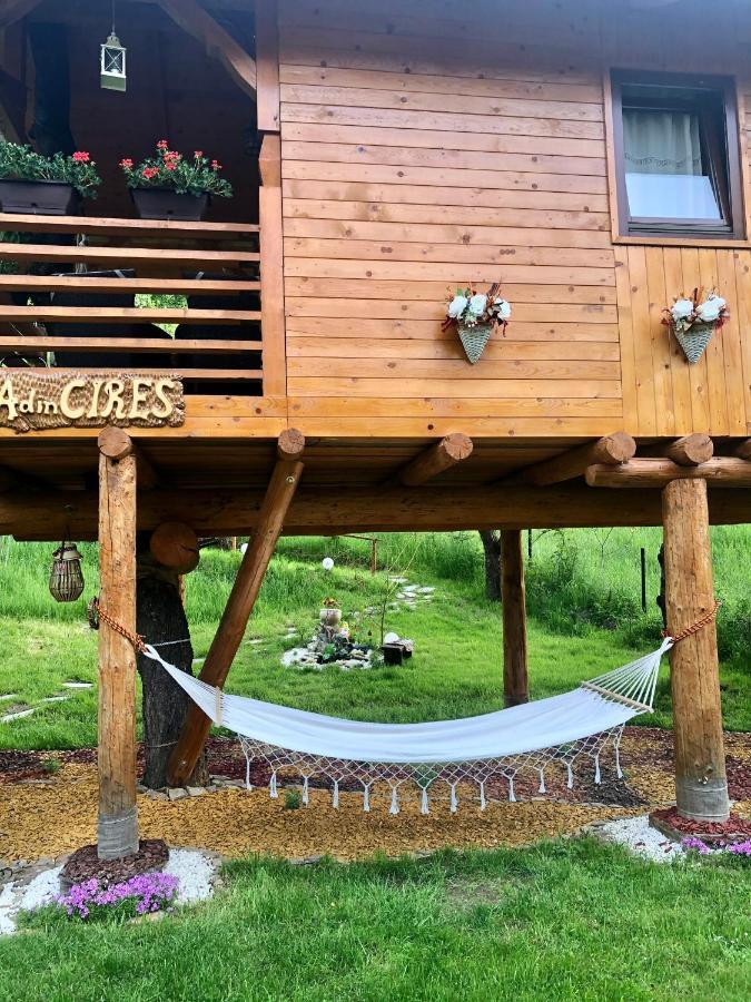 Domeniul Horj Casa Din Cires Moisei Villa Exteriör bild
