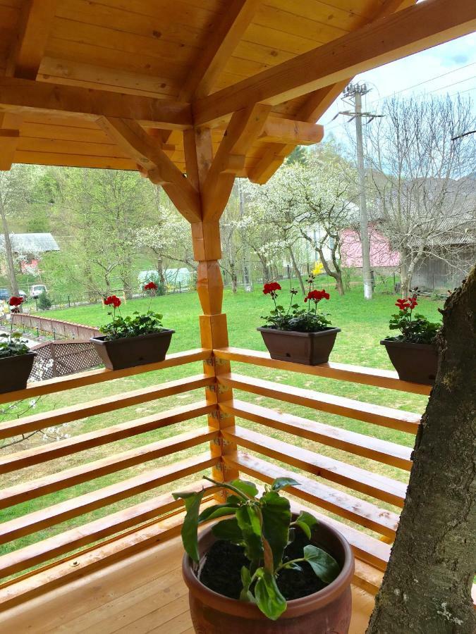 Domeniul Horj Casa Din Cires Moisei Villa Exteriör bild