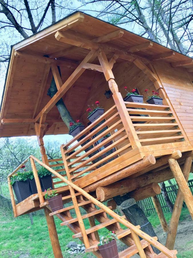 Domeniul Horj Casa Din Cires Moisei Villa Exteriör bild
