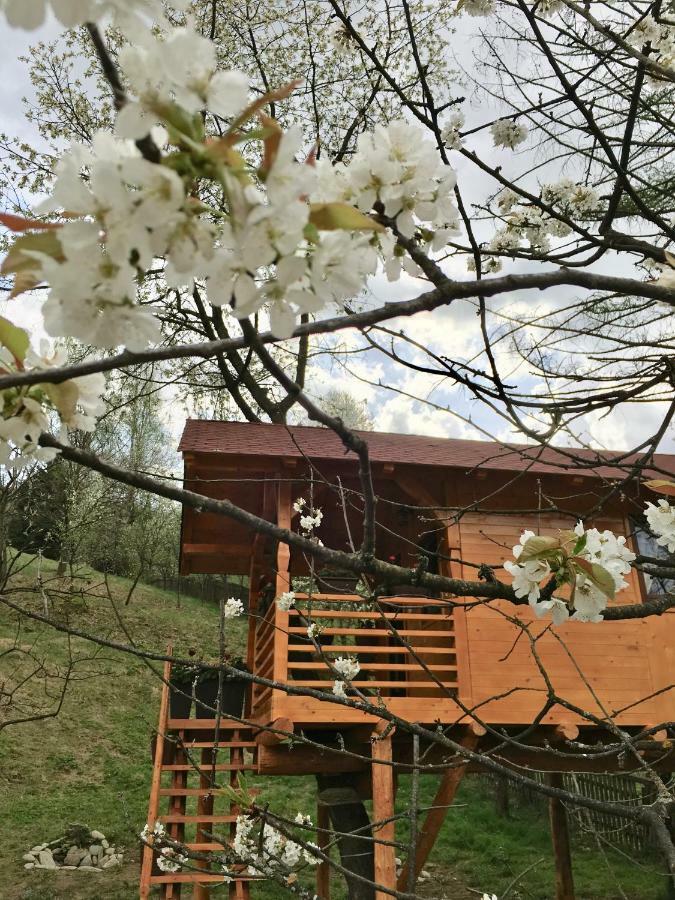 Domeniul Horj Casa Din Cires Moisei Villa Exteriör bild